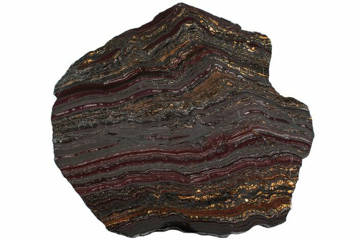 Polished Tiger Iron Stromatolite Slab - Billion Years #222103